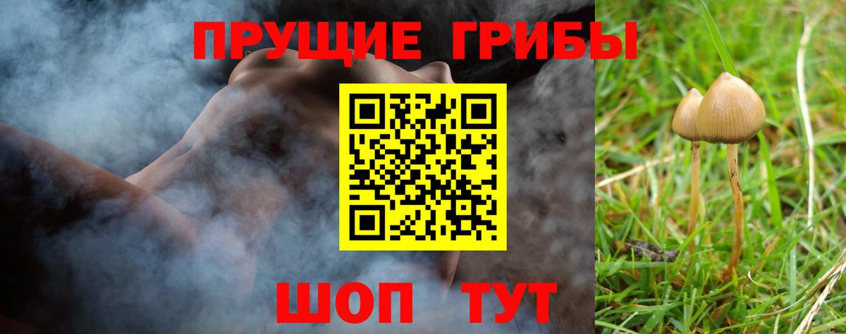 Псилоцибиновые грибы Magic Shrooms  где продают наркотики  Нижнекамск  Вход с VPN 